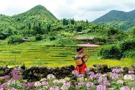 Vietnam Northwest Cycling Adventure Tour 12 Days